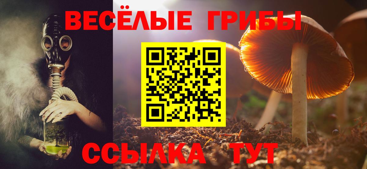 Ульяновск  Псилоцибиновые грибы Psilocybine cubensis  Псилоцибиновые грибы Cubensis  Вход с VPN 